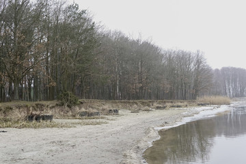 shore of a lake during winter