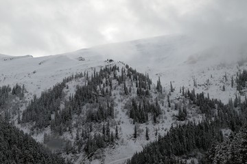Fototapeta premium winter view karadeniz artvin /savsat/turkey