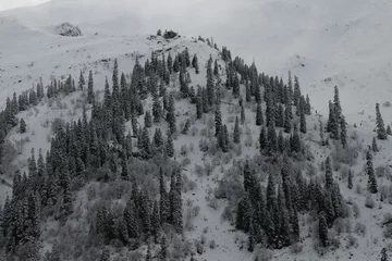 Foto auf Acrylglas Wald im Nebel winter view karadeniz artvin /savsat/turkey