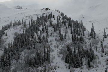 winter view karadeniz artvin /savsat/turkey