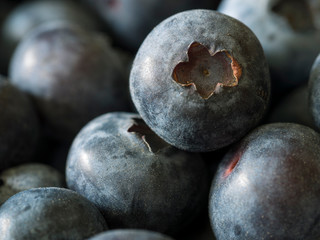 Nahaufnahme von Blaubeeren