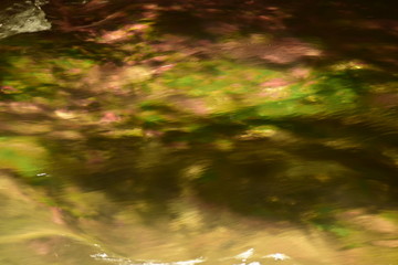 el agua muy clara de un arroyo deja ver el fondo de varios colores