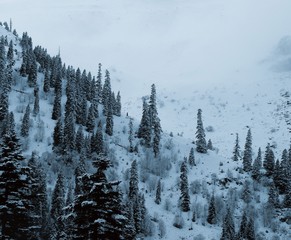 winter view karadeniz artvin /savsat/turkey