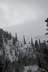 winter view karadeniz artvin /savsat/turkey