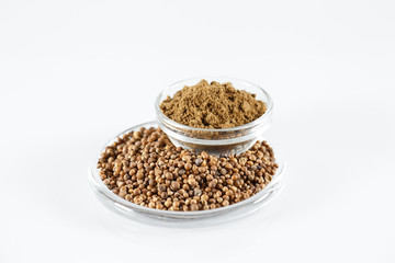 Coriander Isolated in white.