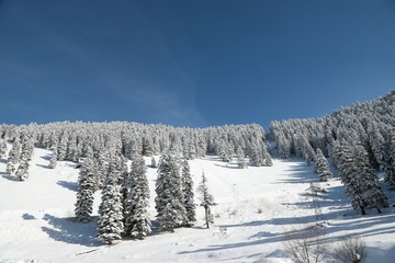 winter view karadeniz artvin /savsat/turkey