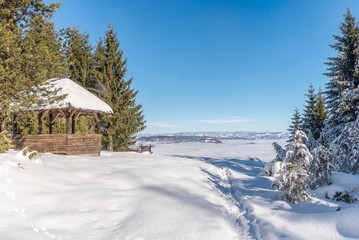 Fototapete bei efototapeten.de bestellen   