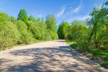 Road from rubble along the forest in spring on a Sunny day
