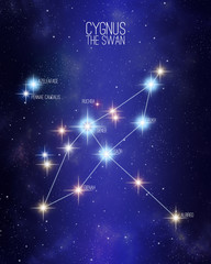 Cygnus the swan constellation on a starry space background with the names of its main stars. Relative sizes and different color shades based on the spectral star type. © Matthieu