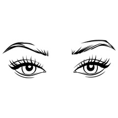 Vector Hand drawn beautiful female eyes with long black eyelashes and brows.