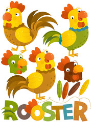 cartoon scene with set roosters on white background - illustration for children