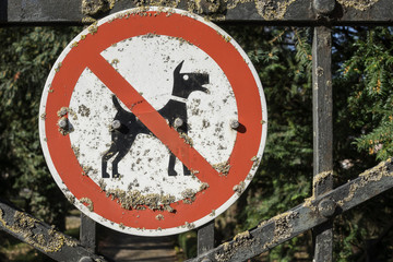Dogs are not allowed.