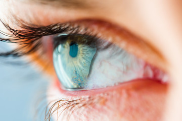 Beautiful Human Eye with Long Eyelashes Macro View. Amazing View of Protective Mucous Film of the...