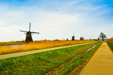 Romantic view of traditional ancient Dutch windmills in the open air grass field in the winter season