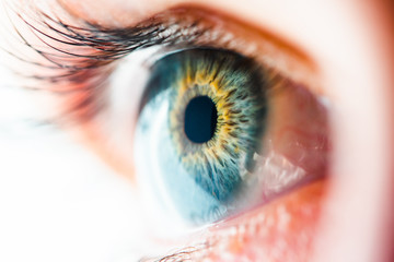 Human Eye Macro View