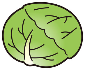 キャベツ