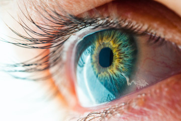 Beautiful Human Eye with Long Eyelashes Macro View. Amazing View of Iris Close-Up