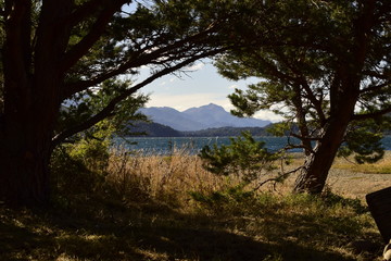 entre unos pinos se puede ver las aguas azules de un lago y al fondo las montañas con bosques