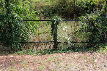 Closed backyard metal doors with cracked rusted paint completely overgrown with dense crawler...