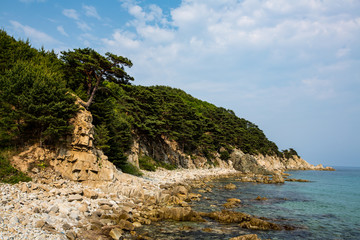 Fototapeta premium Forest on the rocky shore of the Sea of Japan