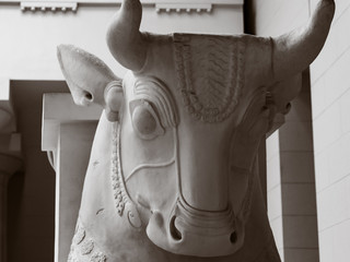 Ancient greek bull