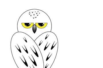 Snowy owl sits with his back on white background, isolate