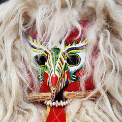 Closeup of the traditional Kurent mask, Slovenia - 252518042