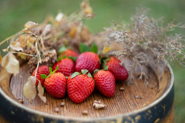 Red strawberries and dry grass on a wooden wine barrel in the garden in springtime. Fruits on a wooden surface in orchard in summer. Nature wallpaper background, image doesn’t in focus.