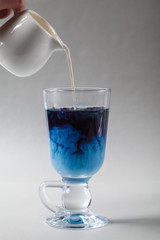 Pour the milk into a Cup of blue butterfly pea tea Anchan on a gray background. Blue Thai tea and milk mixed