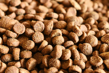 Dry Cat Food Close Up