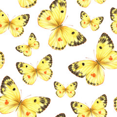 Watercolor seamless pattern with hand drawn flying yellow butterflies on white background