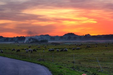 Sonnenuntergang am See mit schönem Abendrot am Himmel