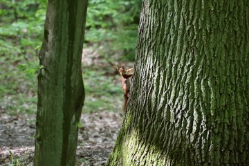 Landschaft/Tiere/Jahreszeiten/Travel