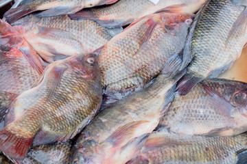 Pile of fresh tilapia fish wallpaper