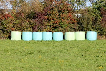 Hay bales freshly wrapped in plastic and left in a row in front of dense trees and small forest vegetation on warm sunny day