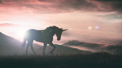 Unicorn silhouette at sunset