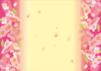 Fototapeta na wymiar 桜の美しい背景素材