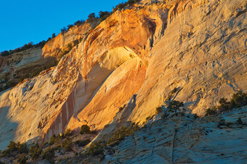 Scenic Zion Park Scenic Landscapes