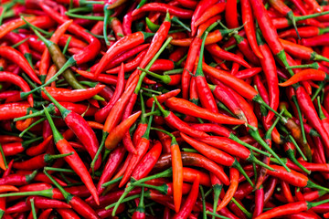 many red chili peppers