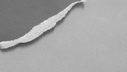 pieces of old torn paper texture background, copy space.