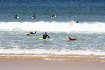 Viele Surfer im Meer paddeln