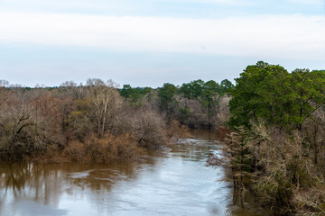 A stroll through thee woods