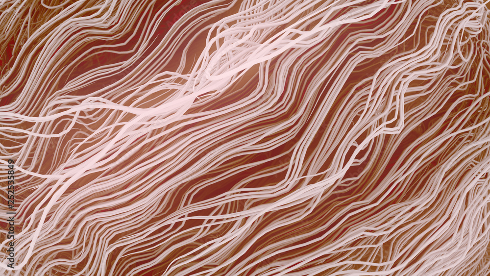 Poster White curled wire futuristic pattern surrounded by mist. Abstract lines flow, psychedelic background. 3d rendering