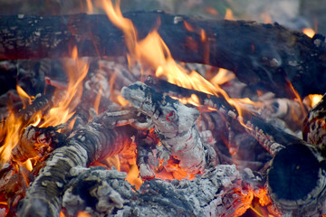 The fire is burning wood