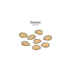 sesame, hand draw vector.