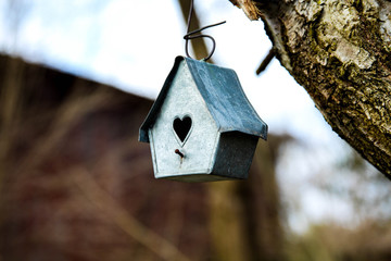 Birdhouse 2
