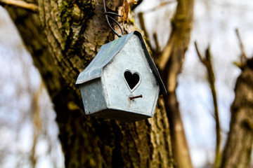Birdhouse 3