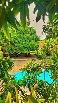 Natureza &eacute; vida