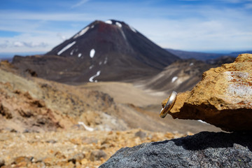 New Zealand Tongariro