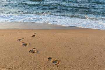 foot print in the sand